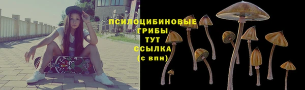 трава Бронницы