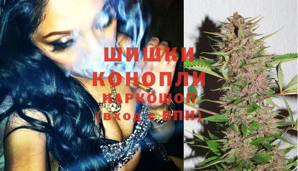трава Бронницы