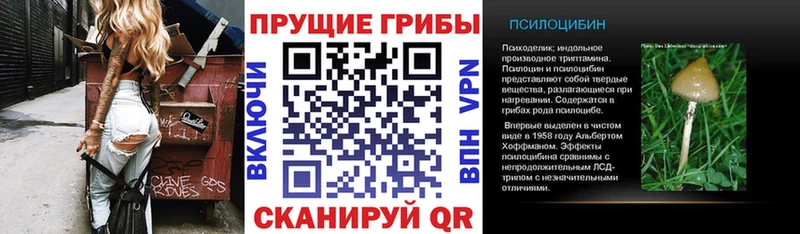 Галлюциногенные грибы Psilocybine cubensis Макарьев